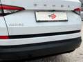 Skoda Kodiaq 2.0 TDI Ambition LED+LEDER+NAVI+RADAR+RFK Weiß - thumbnail 23