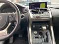 Lexus NX 300 h Luxury 4x4 *Mark Levinson, HUD,360 Grad* Szürke - thumbnail 11