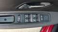Dacia Sandero Stepway 1.0 tce Comfort Eco-g 100cv Rosso - thumbnail 16