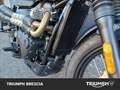 Triumph Scrambler Abs E5+ Verde - thumbnail 9
