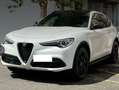 Alfa Romeo Stelvio Stelvio 2.0 t B-Tech Q4 280cv auto Bianco - thumbnail 1