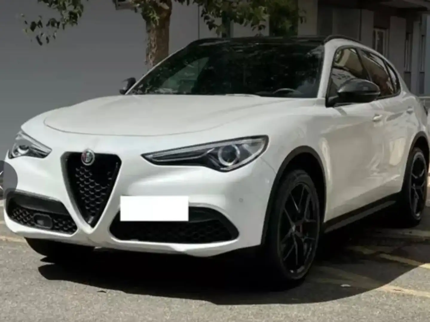 Alfa Romeo Stelvio Stelvio 2.0 t B-Tech Q4 280cv auto Bianco - 1