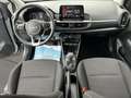 Kia Picanto 1.0 12V 5 porte AMT Urban Grau - thumbnail 12