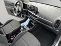 Kia Picanto 1.0 12V 5 porte AMT Urban Grau - thumbnail 14