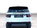 Land Rover Discovery Sport 2.0D SE*PAN-D*LEDER*STEUERKETTEN NEU*5 Weiß - thumbnail 6