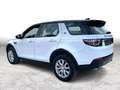 Land Rover Discovery Sport 2.0D SE*PAN-D*LEDER*STEUERKETTEN NEU*5 Weiß - thumbnail 5