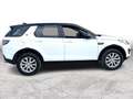 Land Rover Discovery Sport 2.0D SE*PAN-D*LEDER*STEUERKETTEN NEU*5 Weiß - thumbnail 8