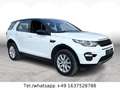 Land Rover Discovery Sport 2.0D SE*PAN-D*LEDER*STEUERKETTEN NEU*5 Weiß - thumbnail 1