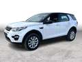 Land Rover Discovery Sport 2.0D SE*PAN-D*LEDER*STEUERKETTEN NEU*5 Weiß - thumbnail 3
