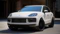 Porsche Cayenne E-Hybrid | BURMESTER | SPYDER | INNO | TREKHAAK - thumbnail 1