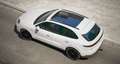 Porsche Cayenne E-Hybrid | BURMESTER | SPYDER | INNO | TREKHAAK - thumbnail 3
