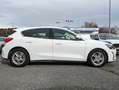 Ford Focus 1.5Ecoblue Trend+ Aut. 120 - thumbnail 7