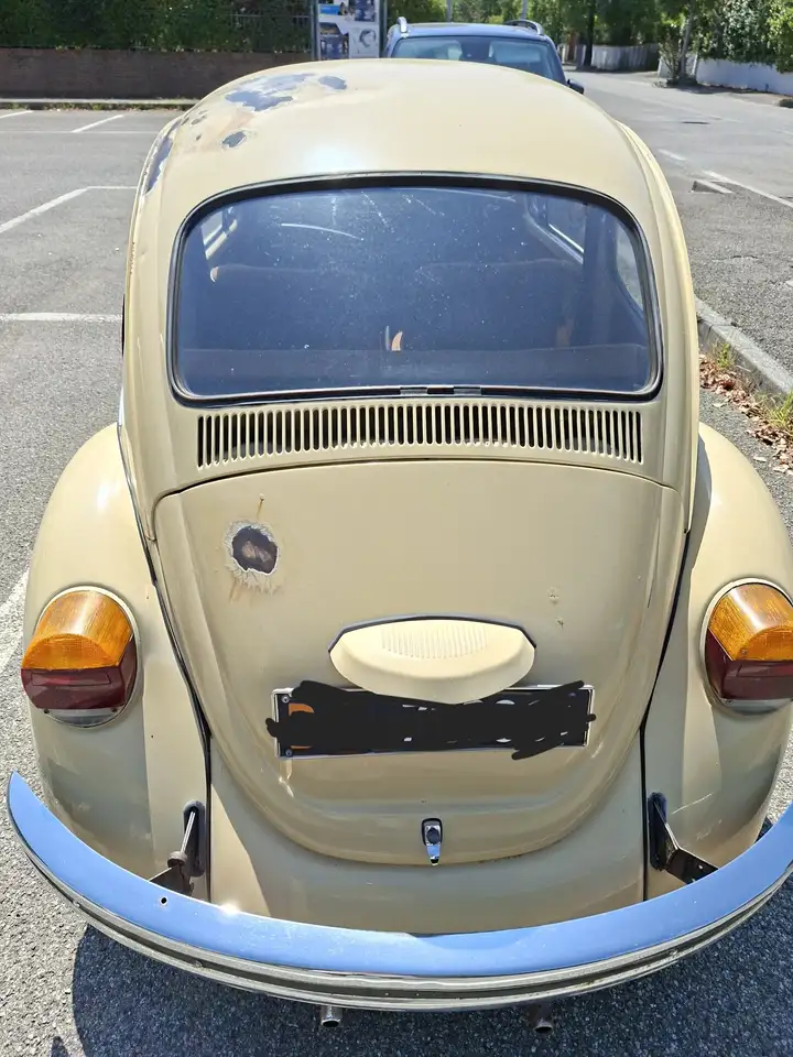 Volkswagen Maggiolino, foto 1