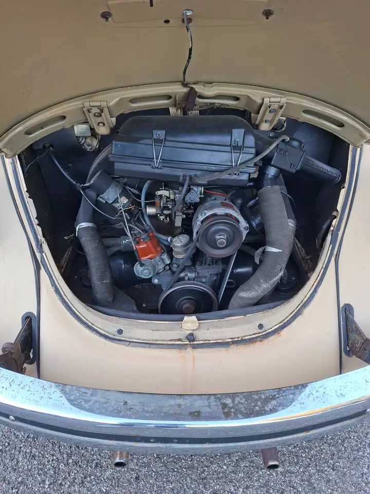 Volkswagen Maggiolino, foto 7