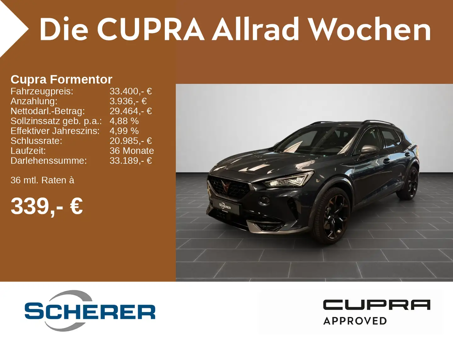 CUPRA Formentor VZ VZ 2.0 TSI 4Drive DSG, Rückfahrkame Grau - 1