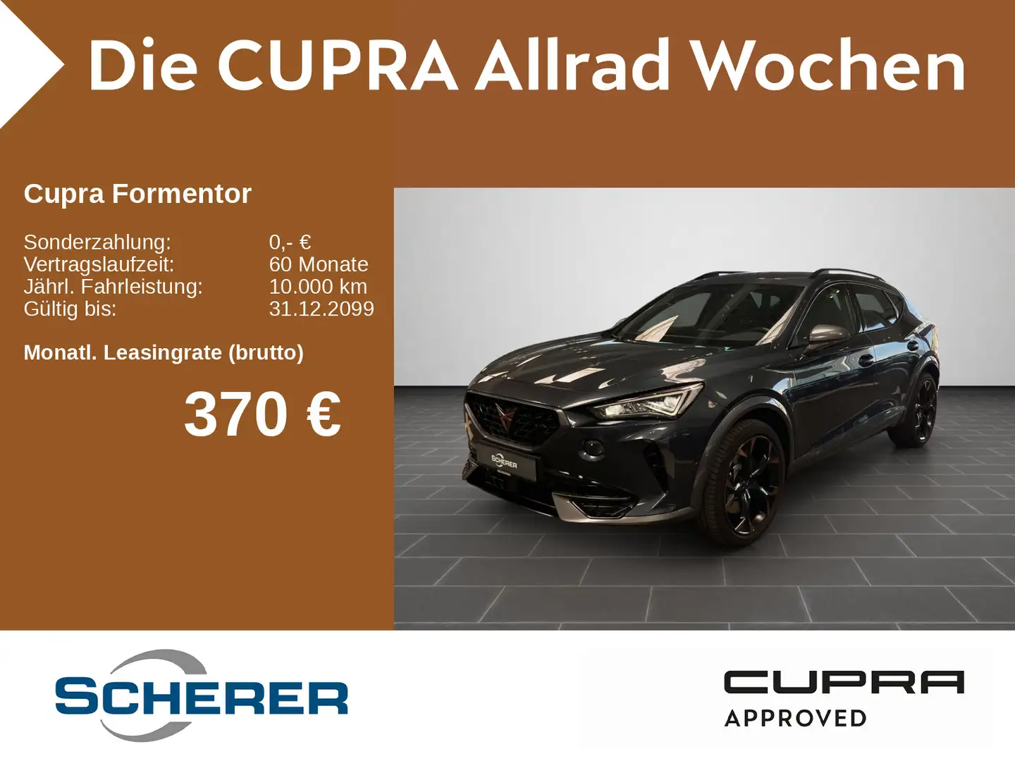 CUPRA Formentor VZ VZ 2.0 TSI 4Drive DSG, Rückfahrkame Gris - 1