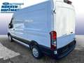 Ford Transit 290 L2 Trend Weiß - thumbnail 3