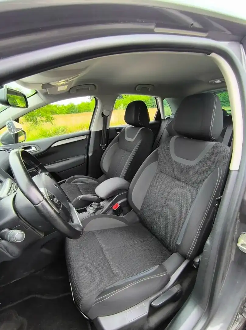 Citroen C4 C4 1.6 BlueHDi Gris - 2