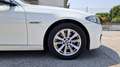 BMW 520 520d Touring xDrive 184cv Cambio Automatico Wit - thumbnail 6