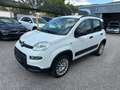Fiat Panda TwinAir 85 4x4 Wild "Motor läuft unrund" Weiß - thumbnail 1