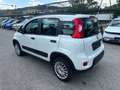 Fiat Panda TwinAir 85 4x4 Wild "Motor läuft unrund" Weiß - thumbnail 4