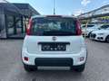 Fiat Panda TwinAir 85 4x4 Wild "Motor läuft unrund" Weiß - thumbnail 5
