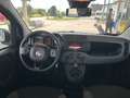 Fiat Panda TwinAir 85 4x4 Wild "Motor läuft unrund" Weiß - thumbnail 9