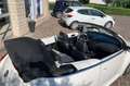 Volkswagen New Beetle New Beetle Cabrio 1.9 tdi limited Red Edition Weiß - thumbnail 5