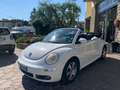 Volkswagen New Beetle New Beetle Cabrio 1.9 tdi limited Red Edition Weiß - thumbnail 4