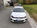Volkswagen Golf GTI Golf GTI 2,0 TSI GTI Weiß - thumbnail 5