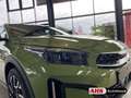 Kia XCeed Platinum Edition 1.6 CRDI Mild Hybrid EU6d Navi Le Verde - thumbnail 14