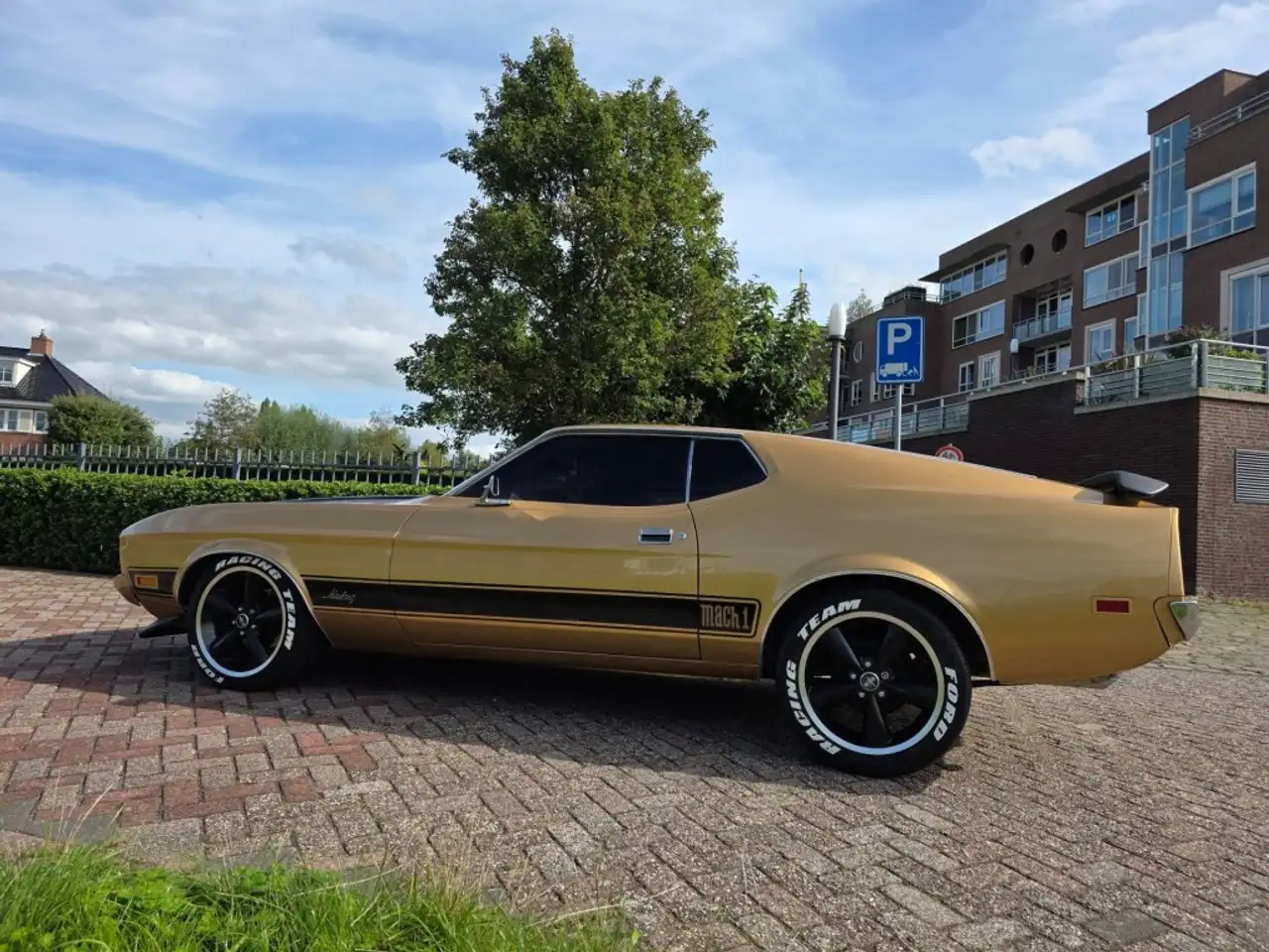 Ford mach1, foto 12