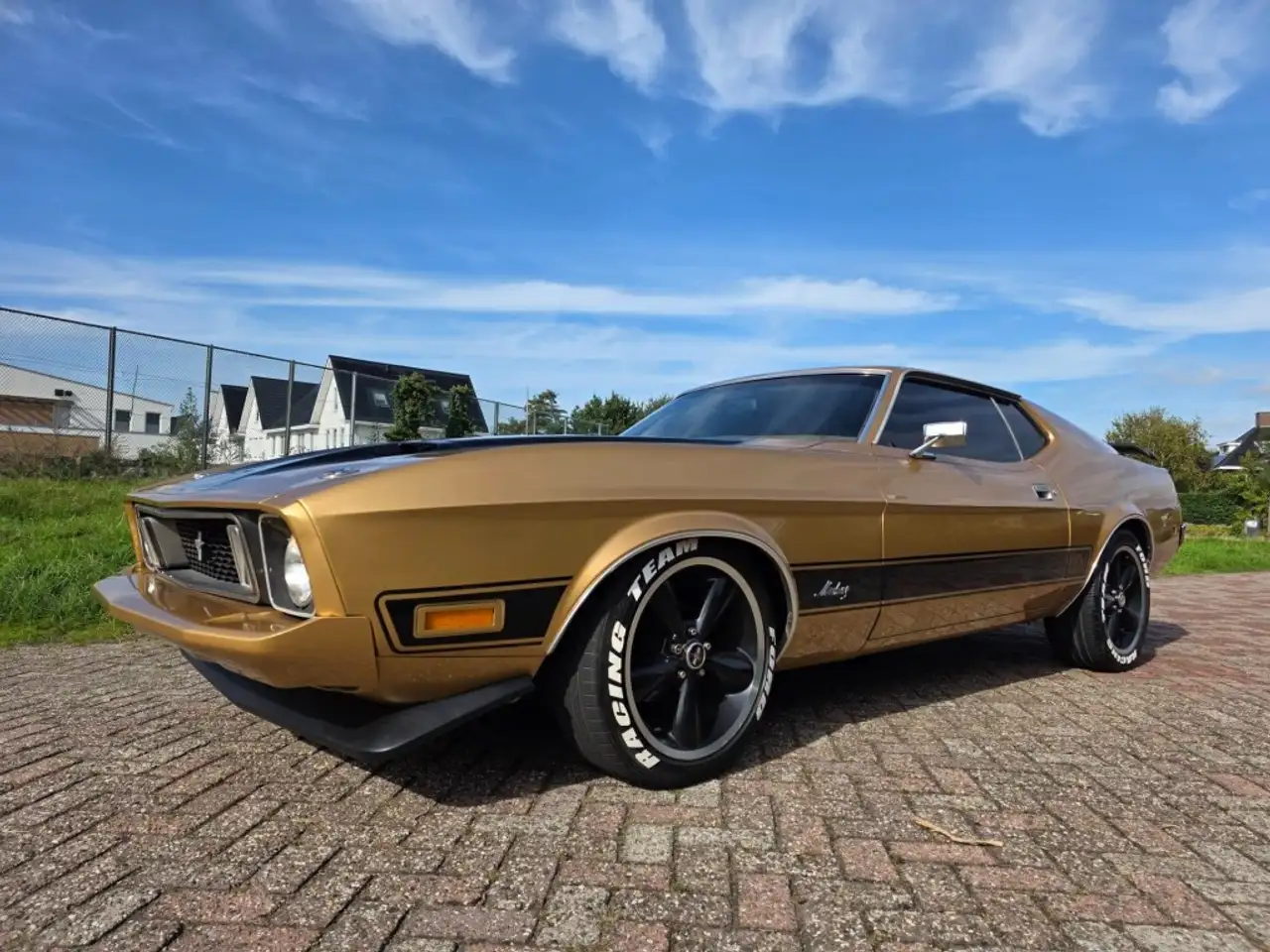 Ford mach1, foto 1
