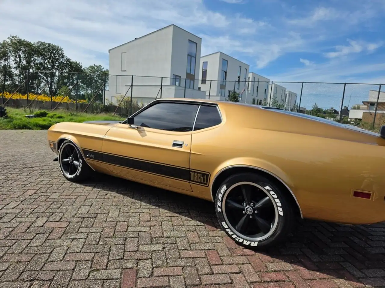 Ford mach1, foto 2