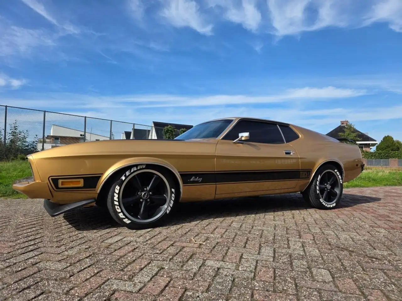 Ford mach1, foto 4