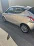 Lancia Ypsilon 1.3 mjt Gold s&s 95cv - thumbnail 1