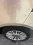 Lancia Ypsilon 1.3 mjt Gold s&s 95cv - thumbnail 4
