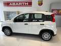 Fiat Panda Blanc - thumbnail 5
