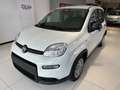 Fiat Panda Blanc - thumbnail 3