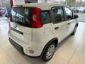 Fiat Panda Blanc - thumbnail 8