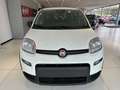 Fiat Panda Blanc - thumbnail 1