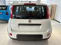 Fiat Panda Blanc - thumbnail 7