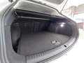 SEAT Leon Sportstourer 1.0 tsi Style 110cv, MANUALE 6 MARCE Bianco - thumbnail 9