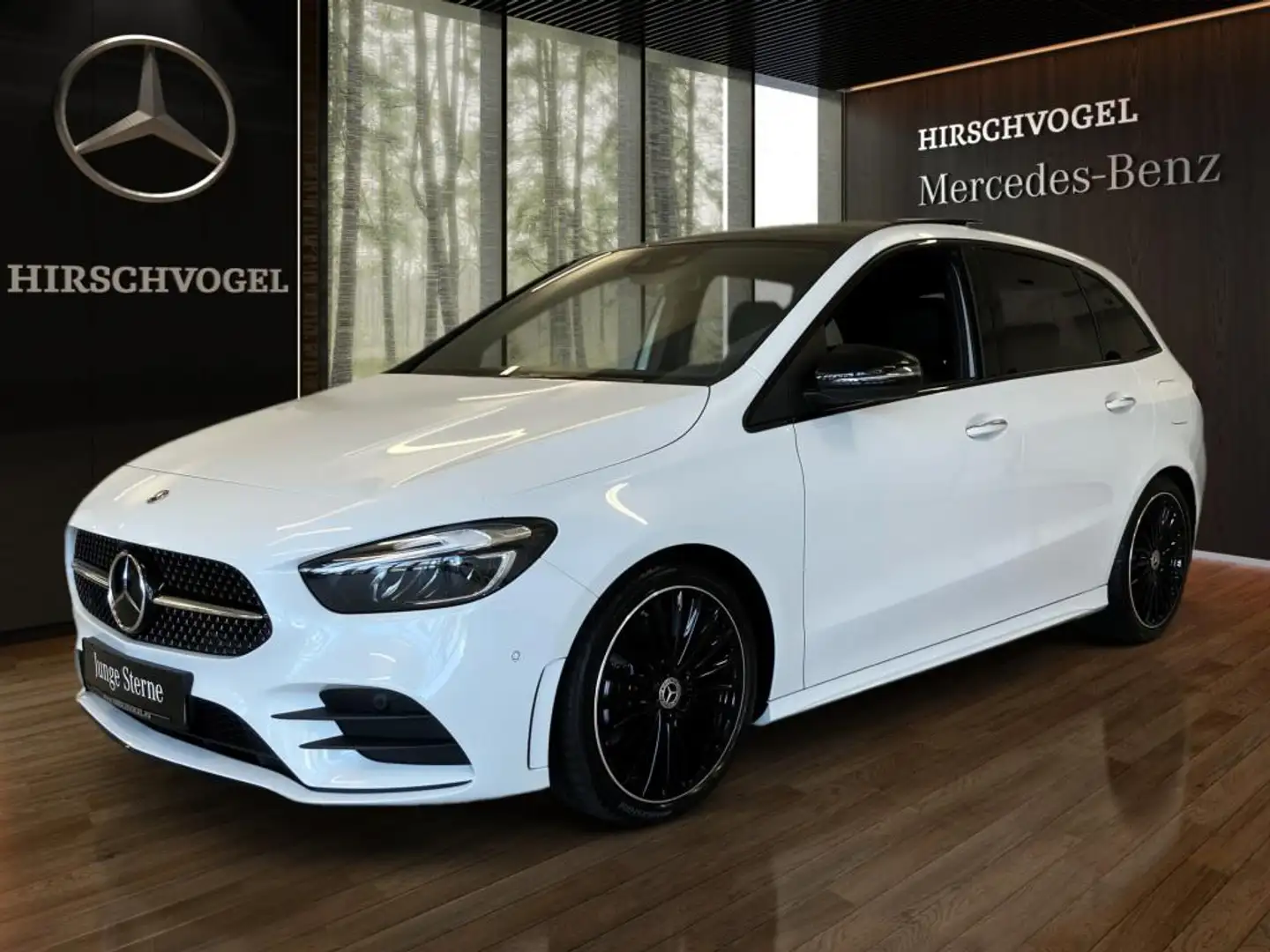 Mercedes-Benz B 250 4M AMG-Line+Night+Pano+DISTRON+KEYLESS+LED Weiß - 2