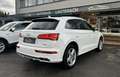 Audi Q5 55 TFSIe quattro *S-LINE *MATRIX *360° *ACC Weiß - thumbnail 8