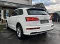 Audi Q5 55 TFSIe quattro *S-LINE *MATRIX *360° *ACC Weiß - thumbnail 6