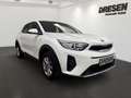 Kia Stonic Edition 7 1.2 CARPLAY,SITZHZG,BLUETOOTH,LENKRADHZG Weiß - thumbnail 2