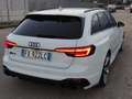 Audi RS4 Avant 2.9 tfsi quattro 450cv tiptronic Білий - thumbnail 3