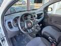 Fiat Panda Van 1.3 Mjt Pop 80cv 2p.Ti E6 Wit - thumbnail 32