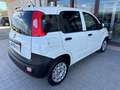 Fiat Panda Van 1.3 Mjt Pop 80cv 2p.Ti E6 Wit - thumbnail 19